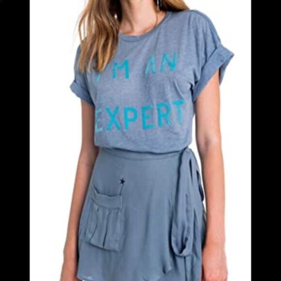 Wildfox Blue and Gray Heathered “I’m An Expert” Graphic Tee Shirt Size Medium - Picture 1 of 6